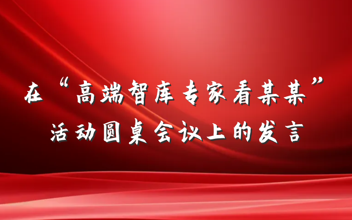 在“高端智库专家看某某”活动圆桌会议上的发言
