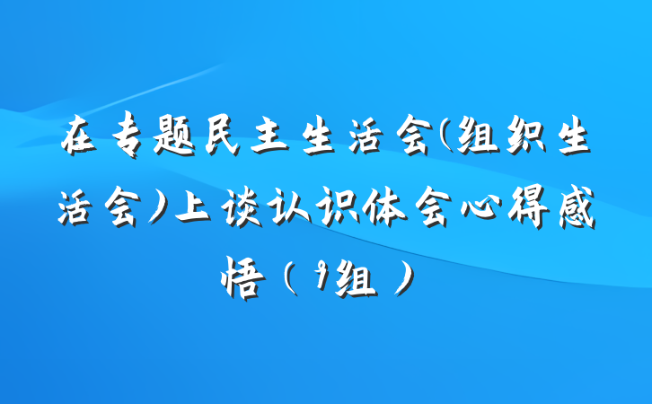 在专题民主生活会(组织生活会)上谈认识体会心得感悟（9组）