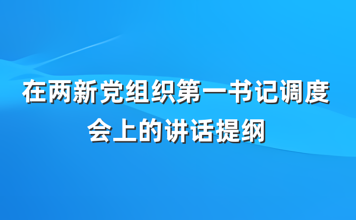 在两新党组织第一书记调度会上的讲话提纲