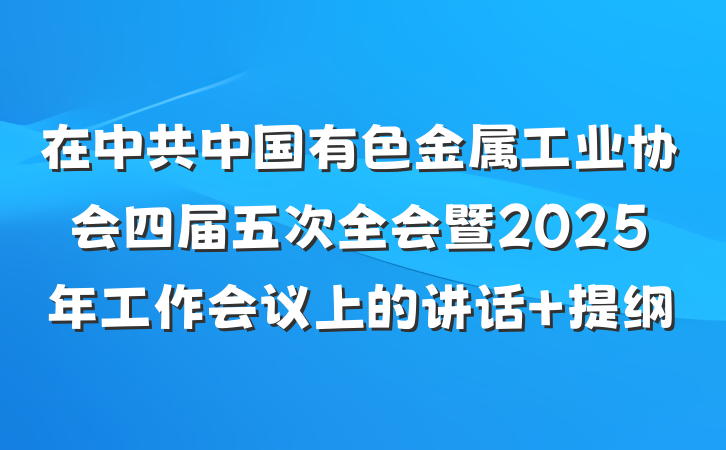 在中共中国有色金属工业协会四届五次全会暨2025年工作会议上的讲话 提纲