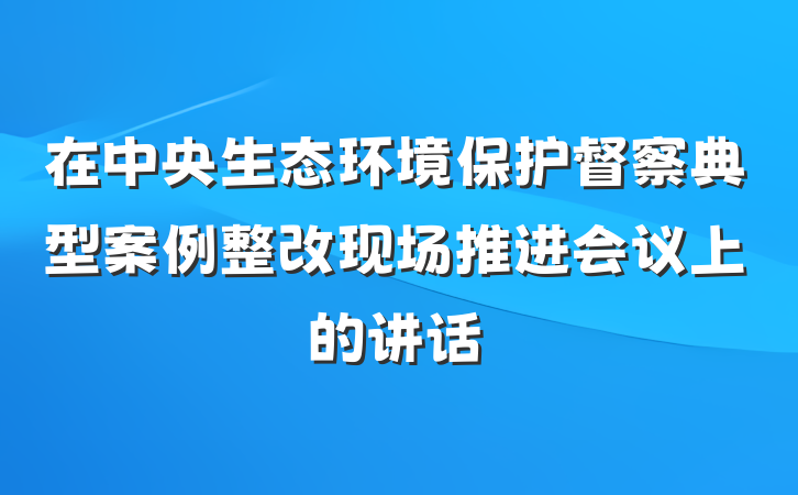 在中央生态环境保护督察典型案例整改现场推进会议上的讲话