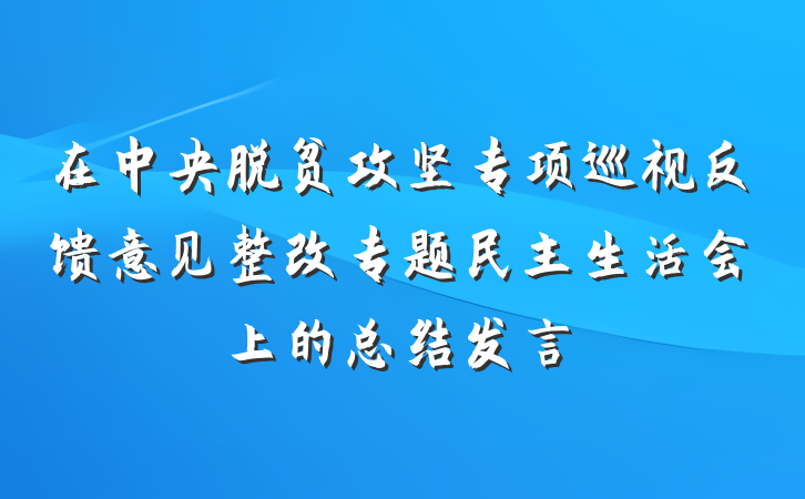 在中央脱贫攻坚专项巡视反馈意见整改专题民主生活会上的总结发言