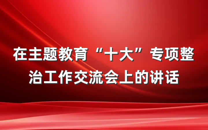 在主题教育“十大”专项整治工作交流会上的讲话