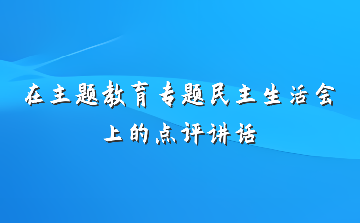 在主题教育专题民主生活会上的点评讲话