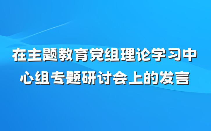 在主题教育党组理论学习中心组专题研讨会上的发言