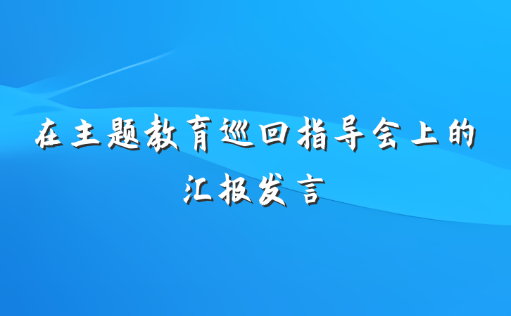 在主题教育巡回指导会上的汇报发言