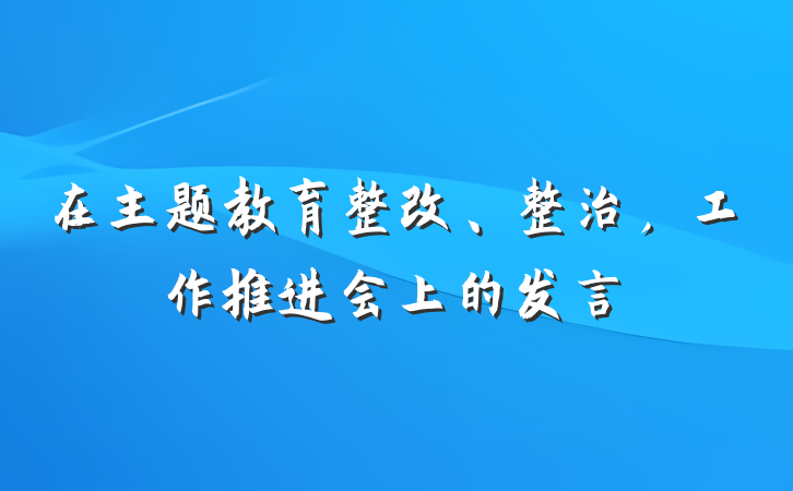 在主题教育整改、整治，工作推进会上的发言