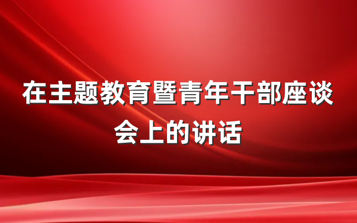 在主题教育暨青年干部座谈会上的讲话