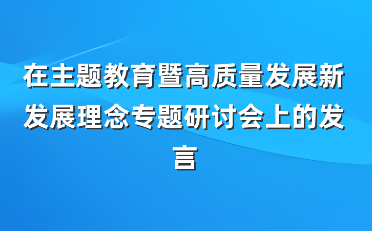 在主题教育暨高质量发展新发展理念专题研讨会上的发言