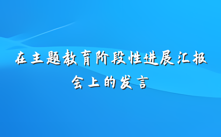 在主题教育阶段性进展汇报会上的发言