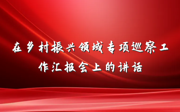 在乡村振兴领域专项巡察工作汇报会上的讲话