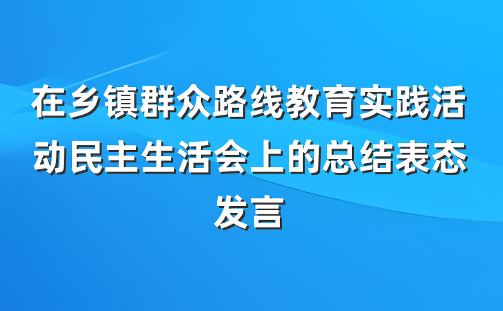 在乡镇群众路线教育实践活动民主生活会上的总结表态发言