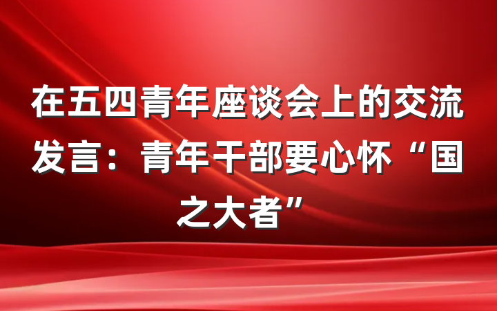 在五四青年座谈会上的交流发言：青年干部要心怀“国之大者”