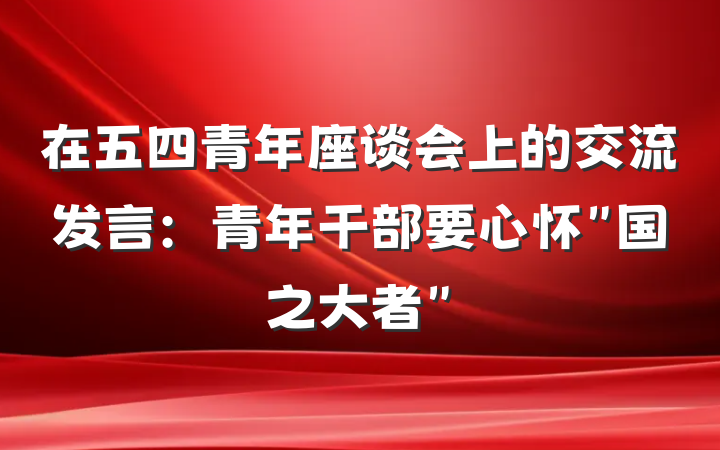 在五四青年座谈会上的交流发言：青年干部要心怀＂国之大者＂