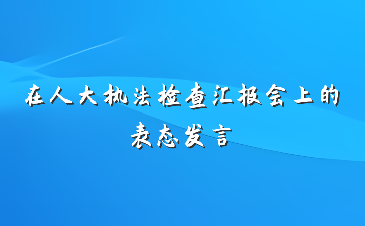 在人大执法检查汇报会上的表态发言