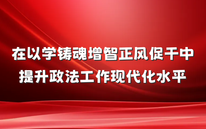 在以学铸魂增智正风促干中提升政法工作现代化水平