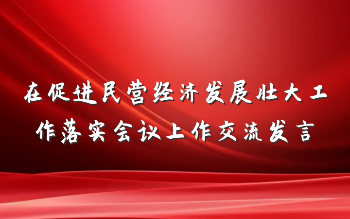 在促进民营经济发展壮大工作落实会议上作交流发言