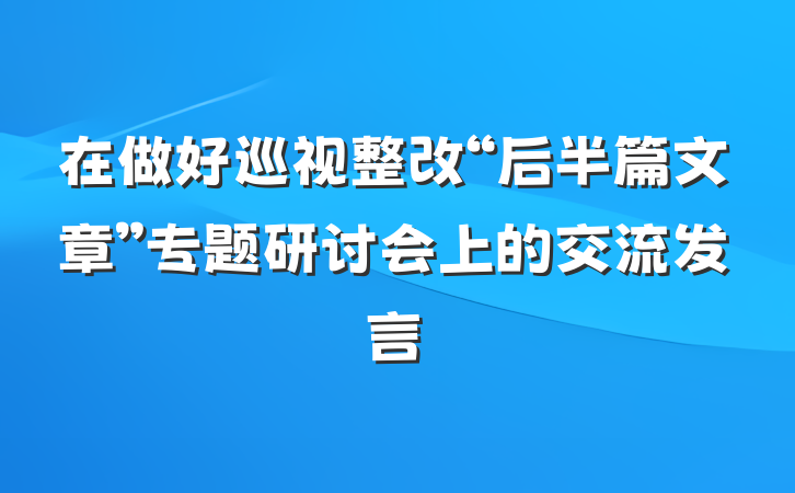 在做好巡视整改“后半篇文章”专题研讨会上的交流发言
