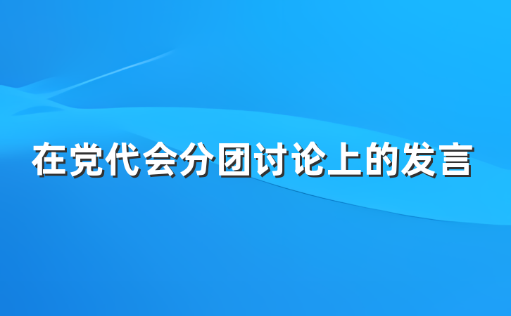 在党代会分团讨论上的发言