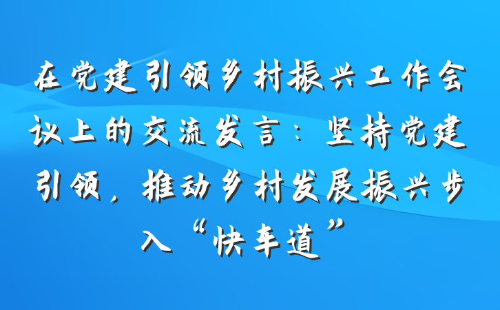 在党建引领乡村振兴工作会议上的交流发言：坚持党建引领，推动乡村发展振兴步入“快车道”