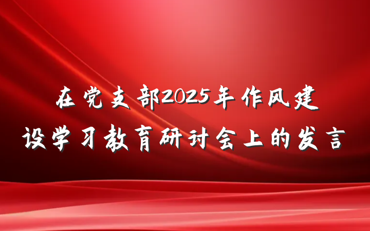 在党支部2025年作风建设学习教育研讨会上的发言