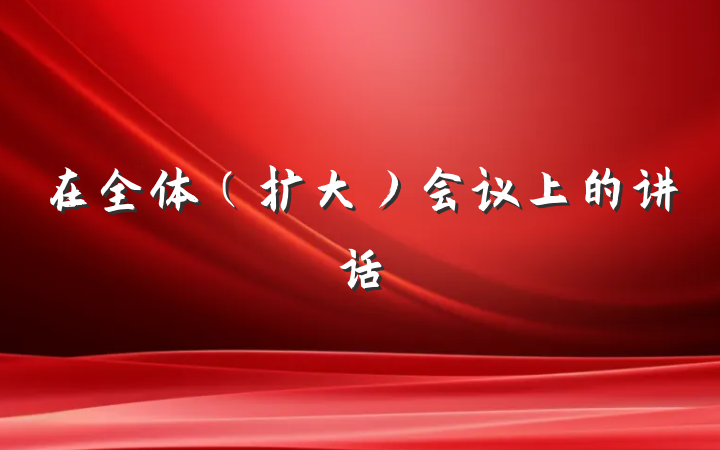 在全体（扩大）会议上的讲话