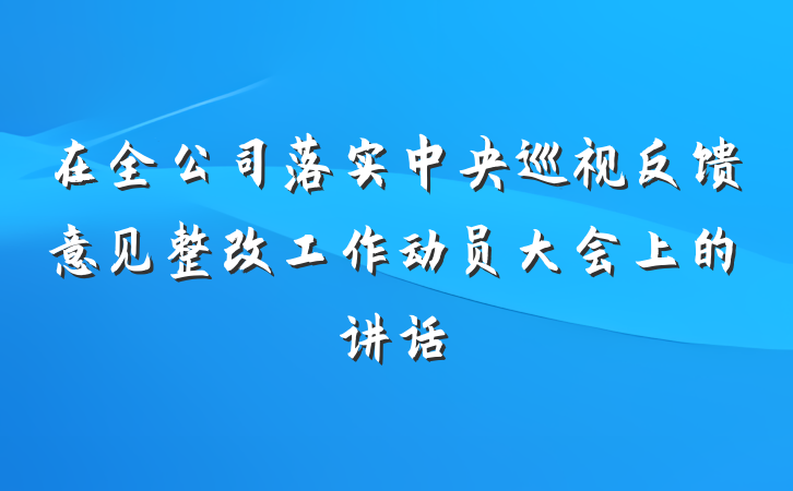 在全公司落实中央巡视反馈意见整改工作动员大会上的讲话