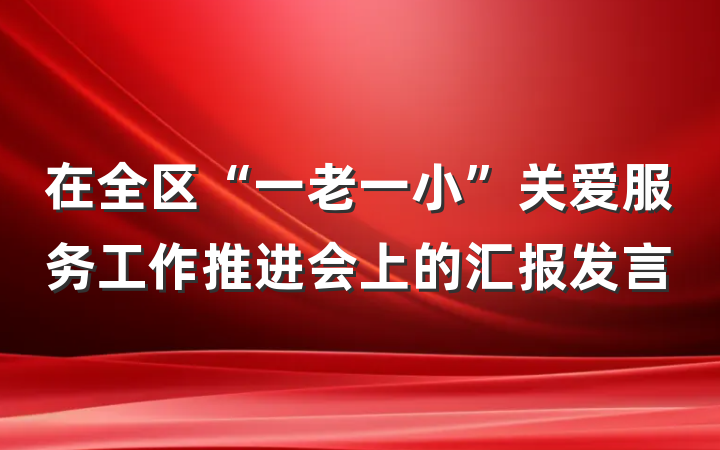 在全区“一老一小”关爱服务工作推进会上的汇报发言