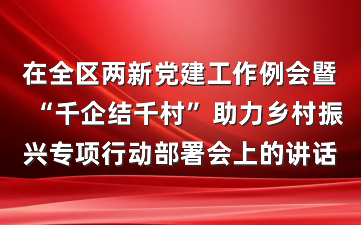 在全区两新党建工作例会暨“千企结千村”助力乡村振兴专项行动部署会上的讲话