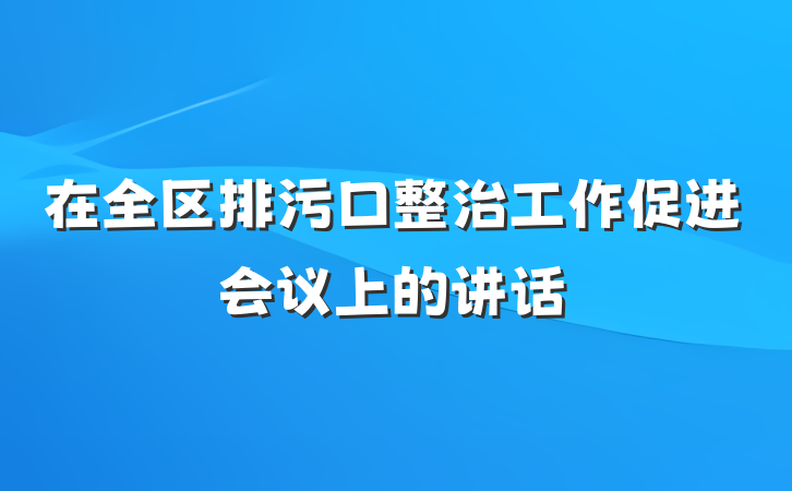 在全区排污口整治工作促进会议上的讲话