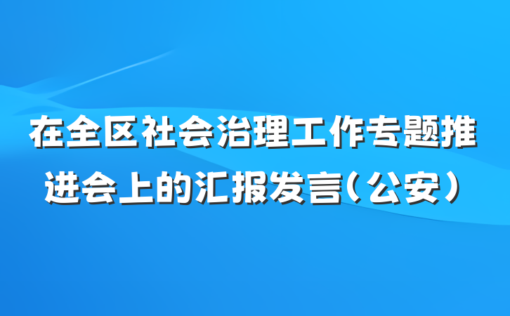 在全区社会治理工作专题推进会上的汇报发言（公安）