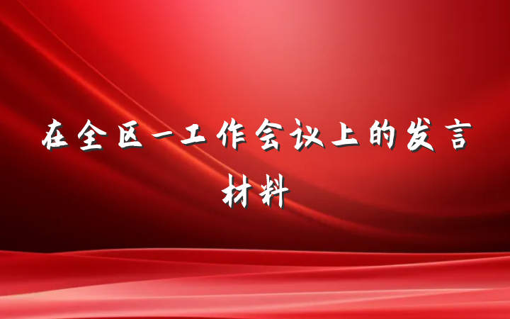 在全区_工作会议上的发言材料