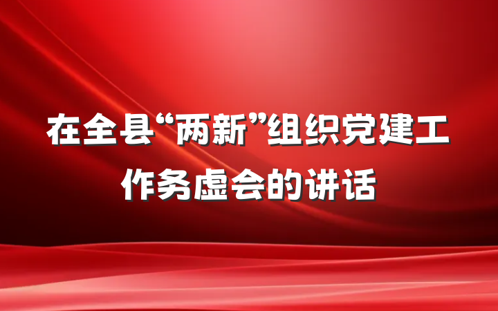 在全县“两新”组织党建工作务虚会的讲话