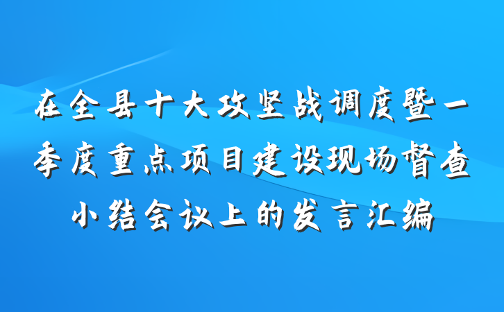 在全县十大攻坚战调度暨一季度重点项目建设现场督查小结会议上的发言汇编