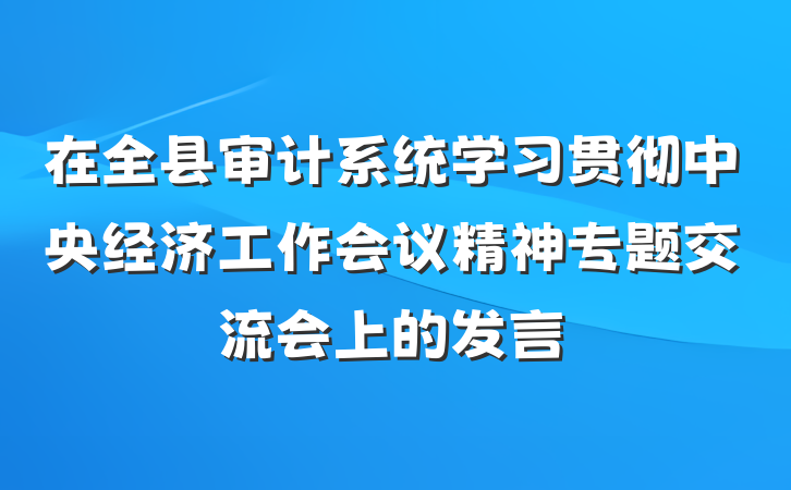 在全县审计系统学习贯彻中央经济工作会议精神专题交流会上的发言