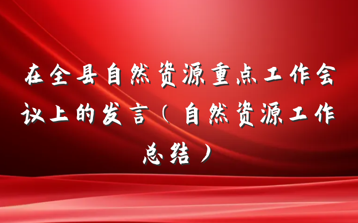 在全县自然资源重点工作会议上的发言（自然资源工作总结）