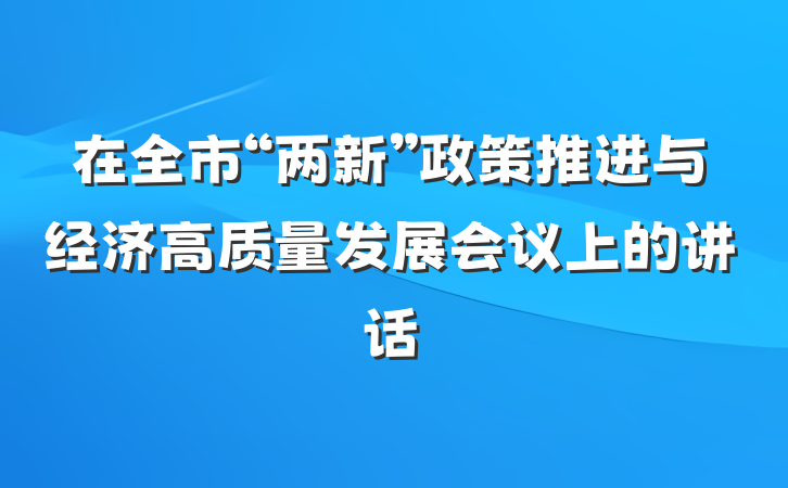 在全市“两新”政策推进与经济高质量发展会议上的讲话