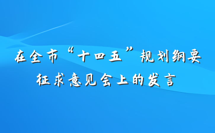 在全市“十四五”规划纲要征求意见会上的发言