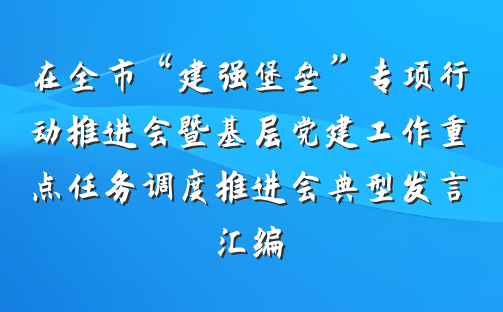 在全市“建强堡垒”专项行动推进会暨基层党建工作重点任务调度推进会典型发言汇编