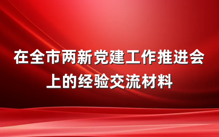在全市两新党建工作推进会上的经验交流材料