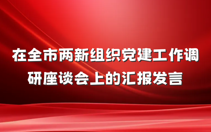 在全市两新组织党建工作调研座谈会上的汇报发言