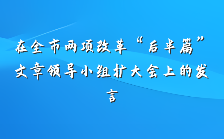 在全市两项改革“后半篇”文章领导小组扩大会上的发言
