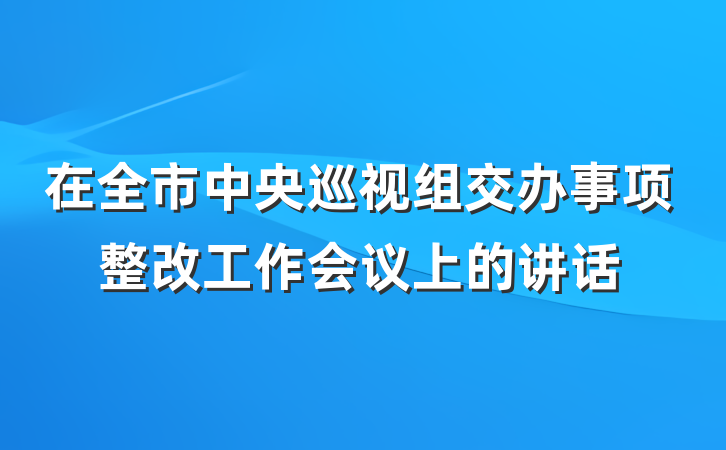 在全市中央巡视组交办事项整改工作会议上的讲话