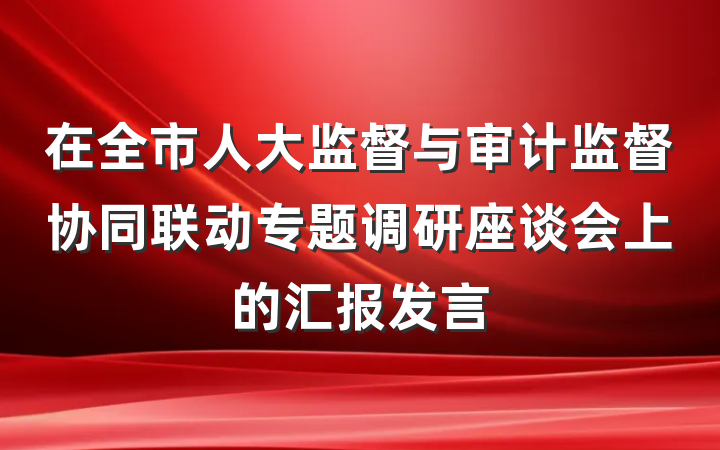 在全市人大监督与审计监督协同联动专题调研座谈会上的汇报发言