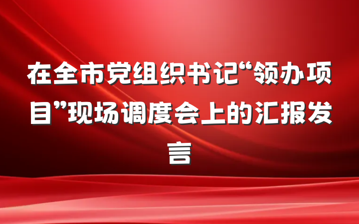 在全市党组织书记“领办项目”现场调度会上的汇报发言