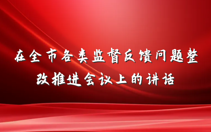 在全市各类监督反馈问题整改推进会议上的讲话
