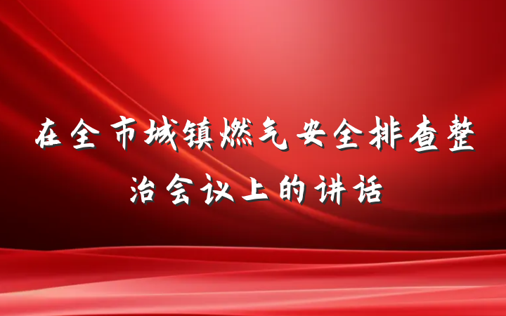在全市城镇燃气安全排查整治会议上的讲话