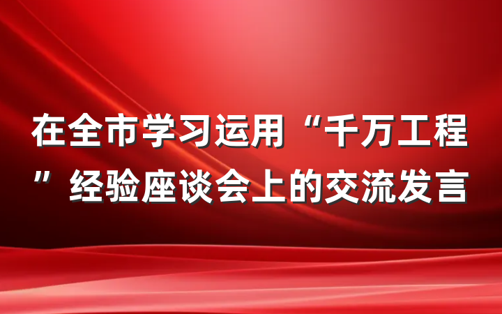 在全市学习运用“千万工程”经验座谈会上的交流发言