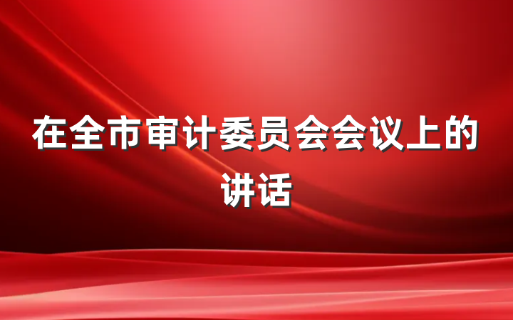 在全市审计委员会会议上的讲话