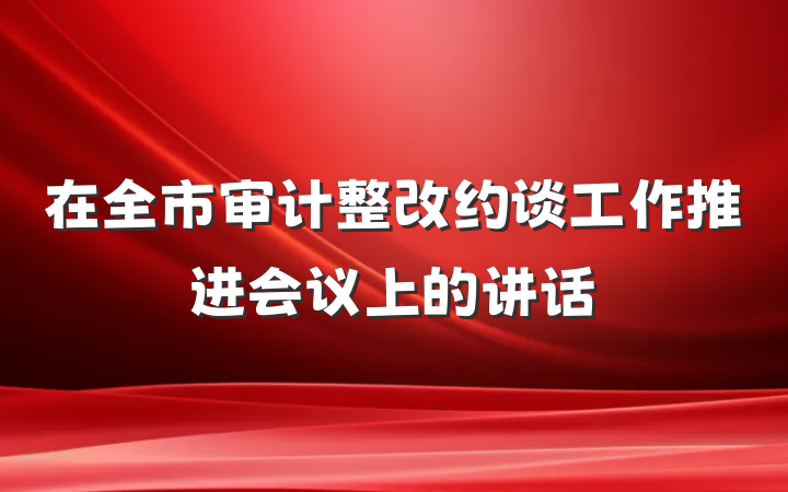 在全市审计整改约谈工作推进会议上的讲话